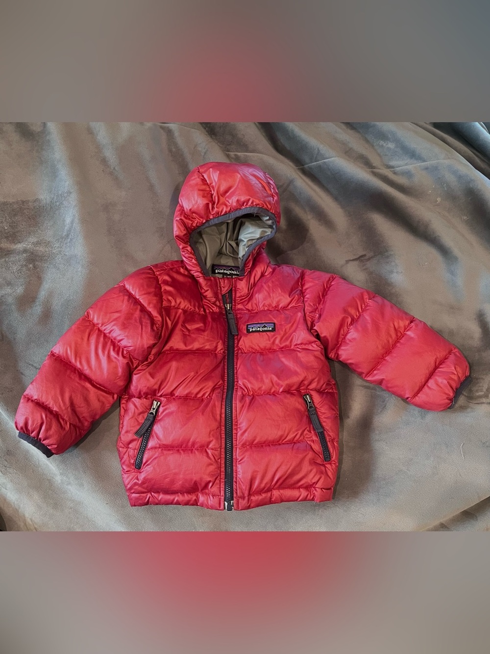 Patagonia Gray Jacket with Red Trim and Multicolor Logo